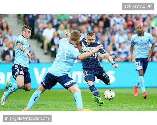 勒沃库森4-0圣保利，波库传射建功展现中场统治力